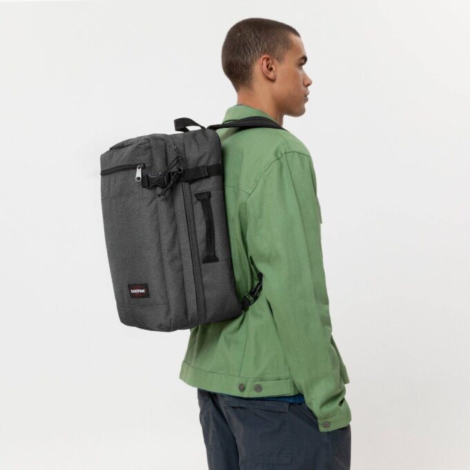 PACCO TRANSIT’R