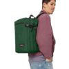 PACCO TRANSIT’R